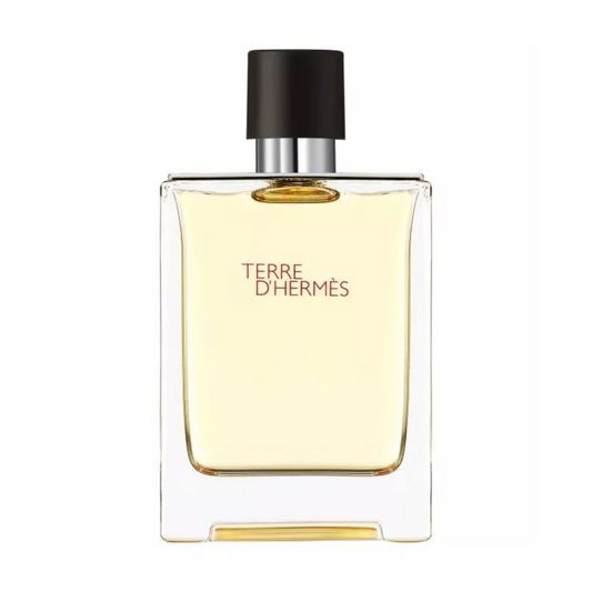 Hermes Terre d'Hermes EDT 100 ml