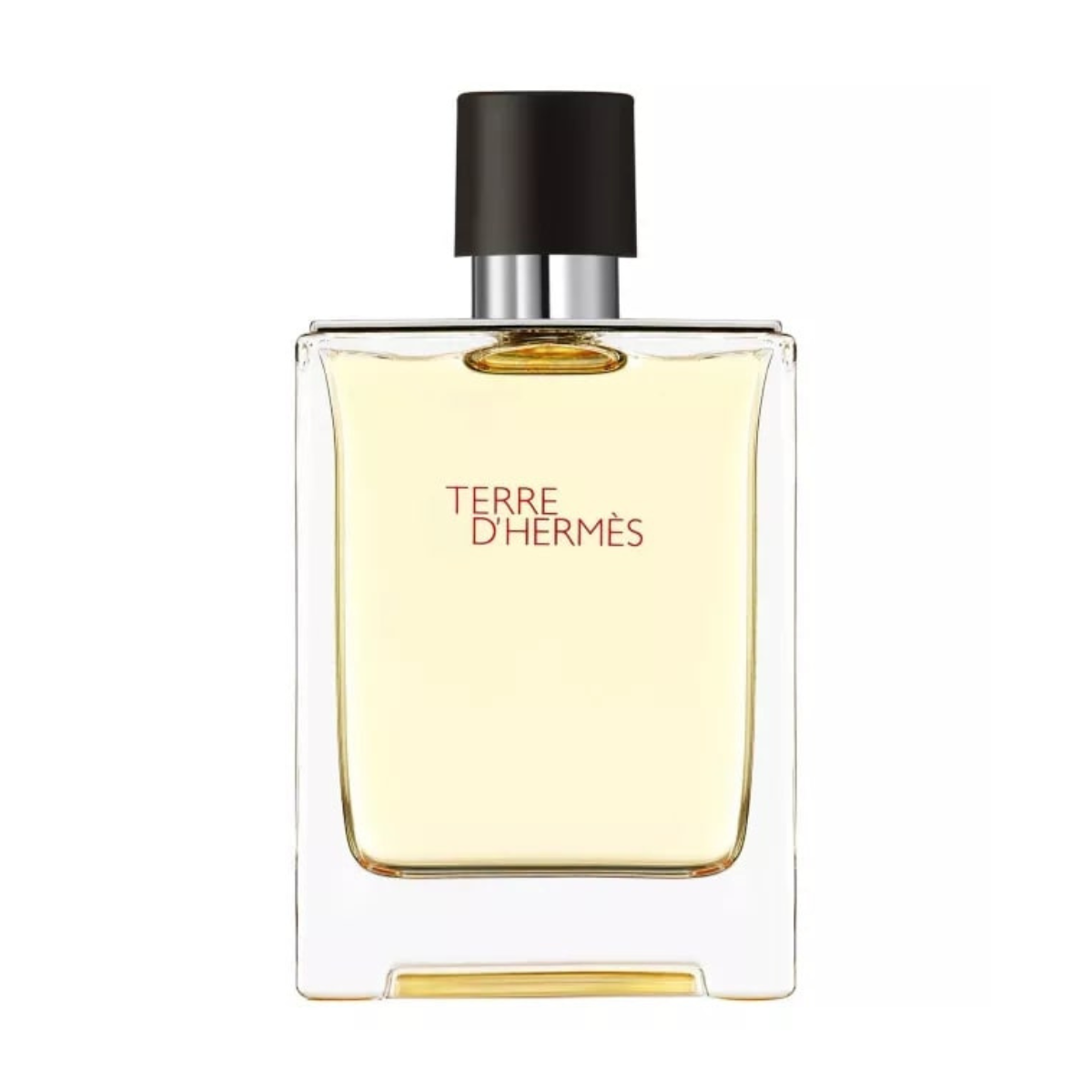 Hermes Terre D'hermes EDT 100 ml TESTER