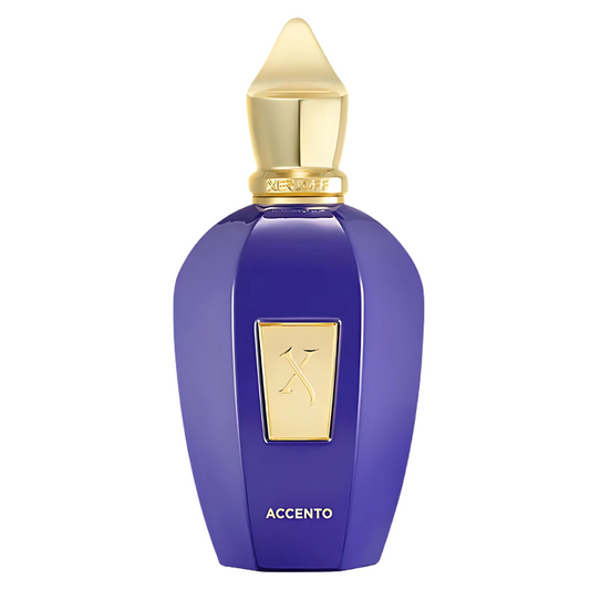 Xerjoff Accento Vibe Collection EDP 100 ml